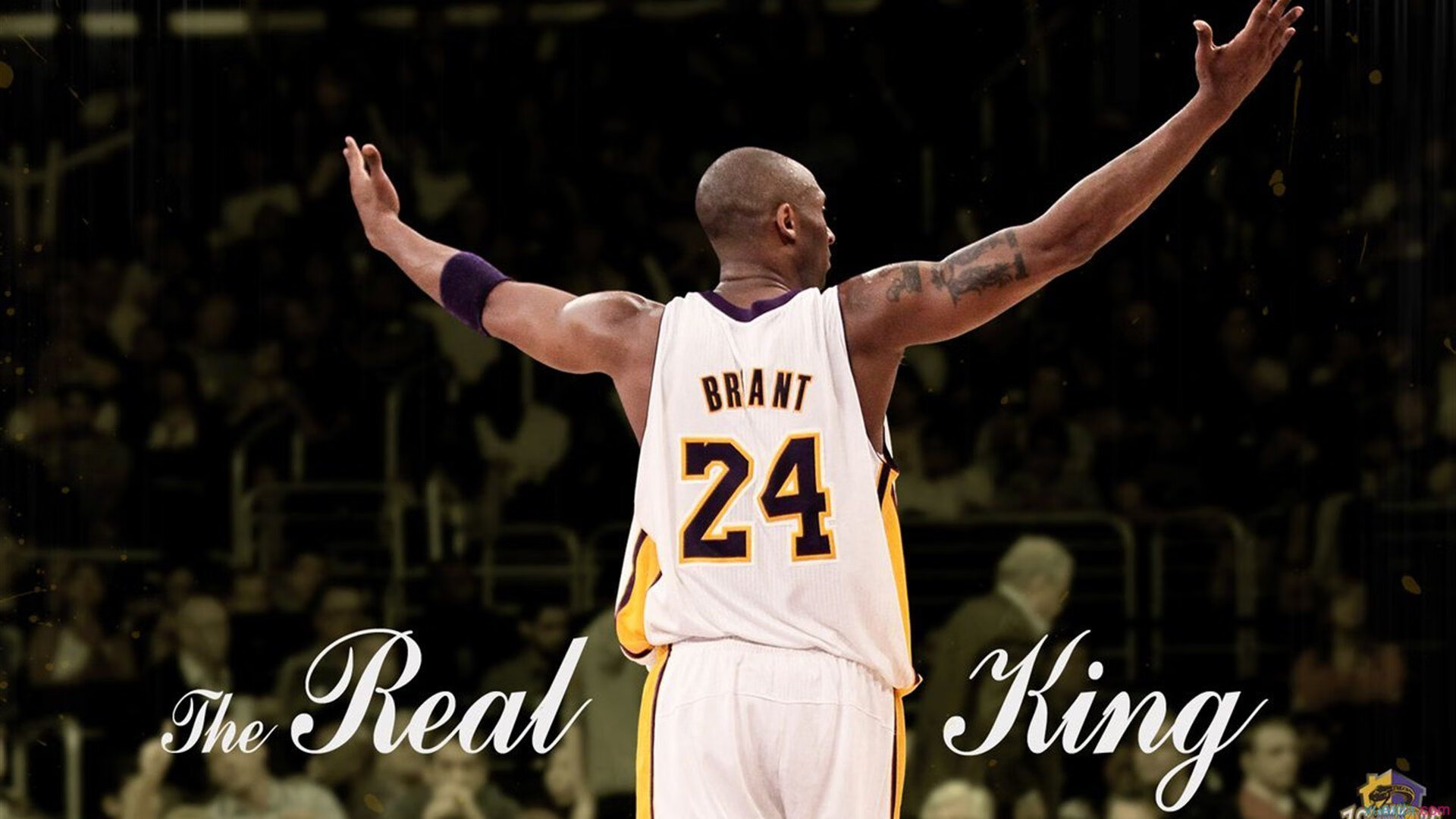 篮网队期待明星归来，未来仍可期，篮网队官宣